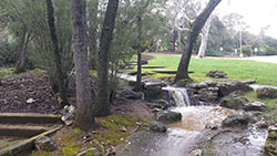 Stream flowing at Gavilan College