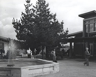 Art Quad, 1970s