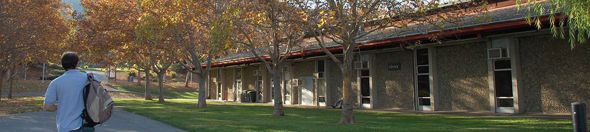 picture of exterior of library building