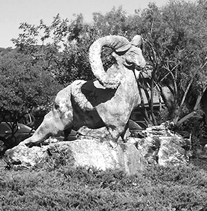 Picture of Ram statue from 1970s