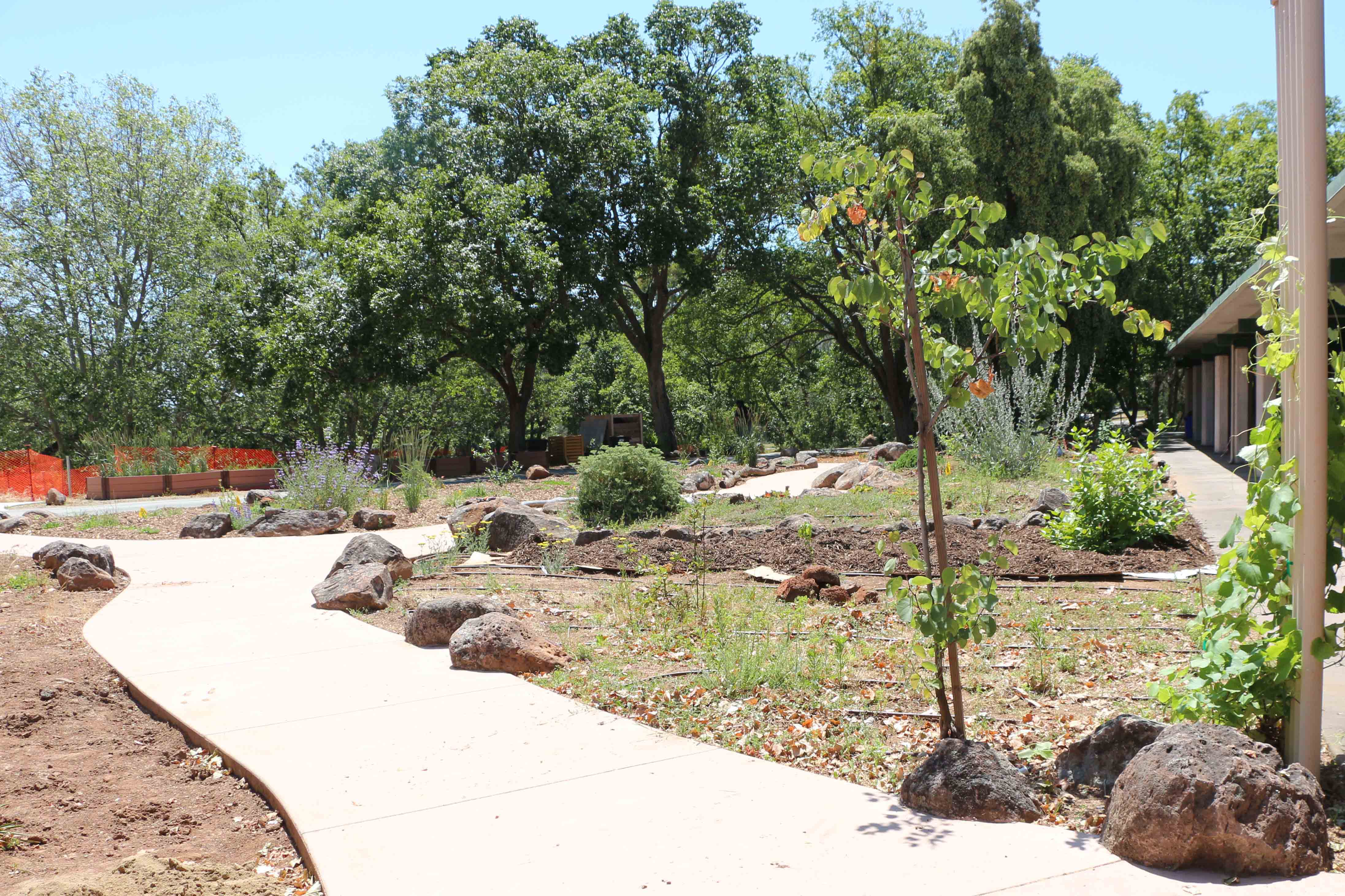 Native garden