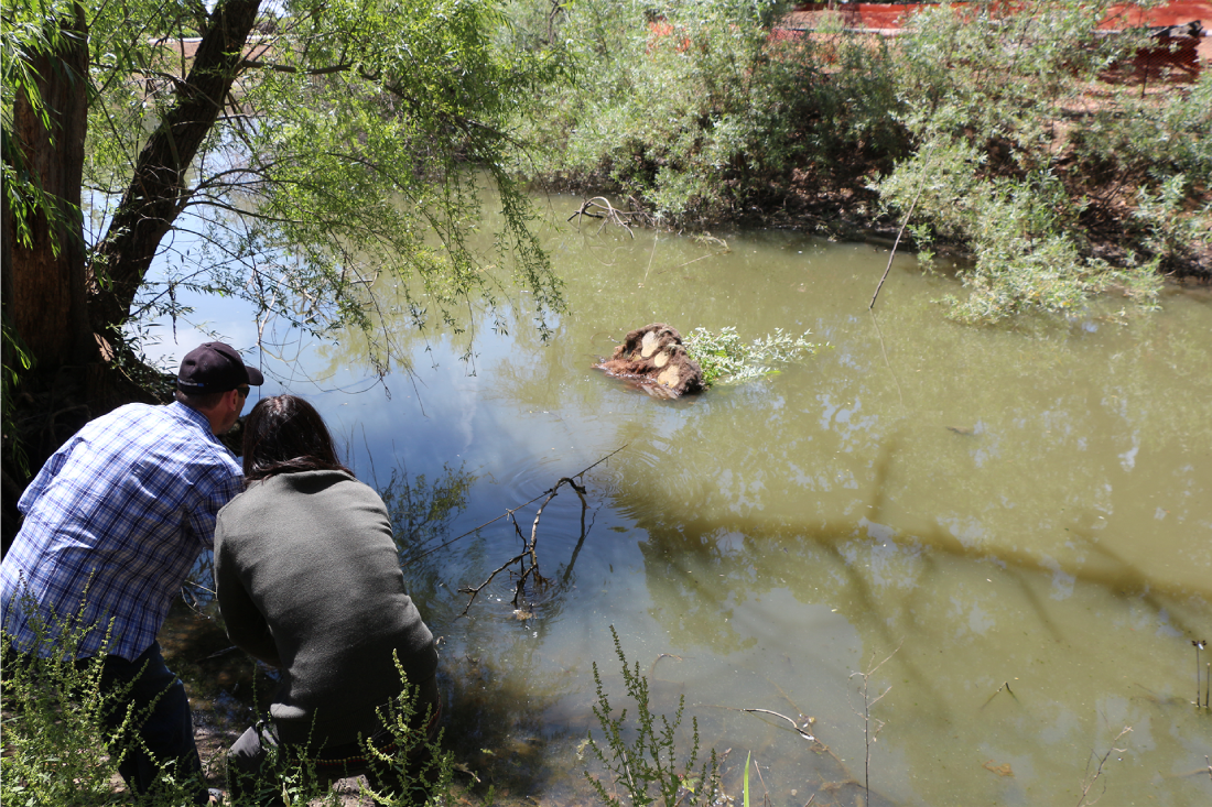 Dr. Freeman and Alex Ramirez rescue capsized islant