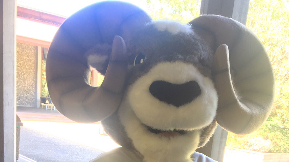 Gavilan College Mascot Rocky T. Ram holding graduation cap and gown