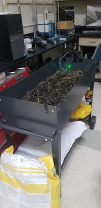 An image of a garden bed from a collaboration of STEM Clubs